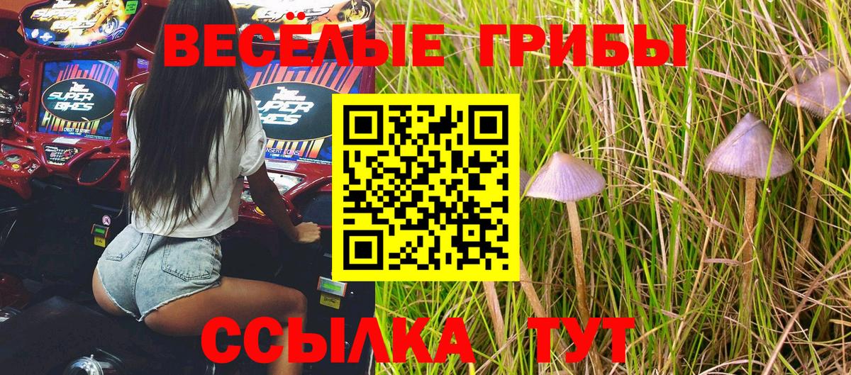 Галлюциногенные грибы мицелий  Вход с VPN  Псилоцибиновые грибы мухоморы  Карпинск 